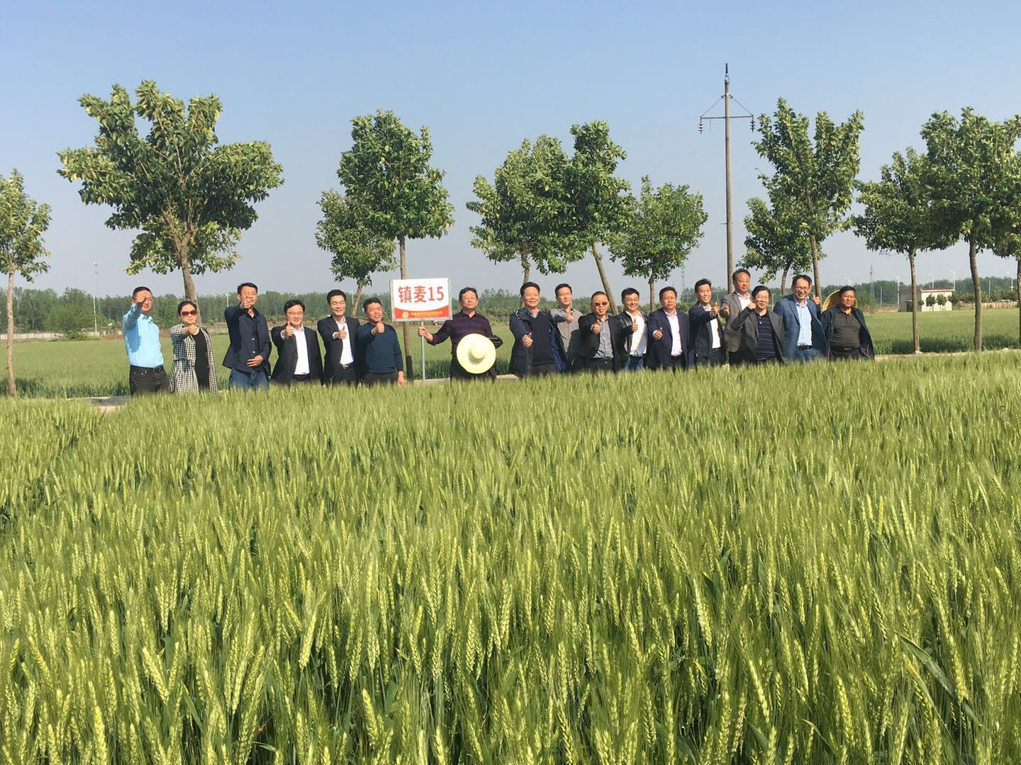 圖片2.jpg 圖片2.jpg