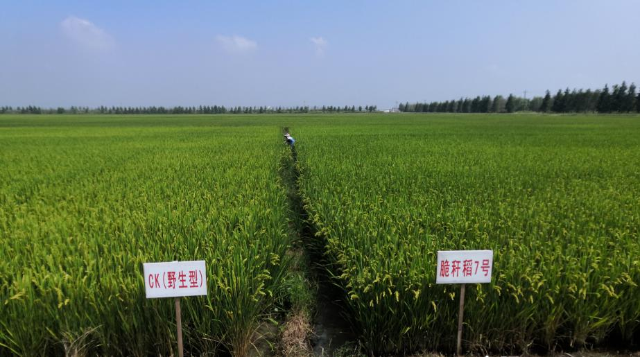 圖片3.png 圖片3.png