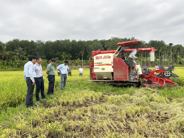 圖片3.png 圖片3.png